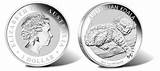 Pictures of 1 Oz Pure Silver Dollar Coin Value