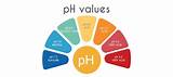 How To Check Your Ph Balance In Your Body