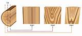 Types Of Wood Grain Cuts Photos