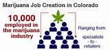 Jobs In The Marijuana Industry In Colorado Photos