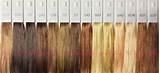 Pictures of Wella Color Classes 2017