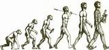 Pictures of Theory Of Evolution Homosapien