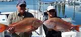 Pictures of Split Fishing Charters Key West