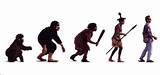 On The Theory Of Evolution Pictures