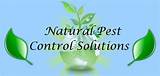 General Pest Control Treatment Photos