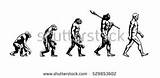 The Theory Of Evolution Of Man