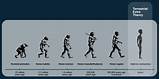 Theory Of Evolution Neanderthal