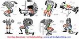 Exercise Routine Bodybuilding Pictures