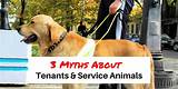 What Can You Ask About A Service Animal Photos