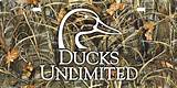 Ducks Unlimited Front License Plate Images