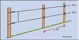 Pictures of Electric Fence Design For Cattle