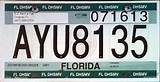 Images of Florida Wholesale License Application