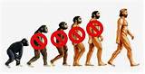 Pictures of Theory Of Evolution Apes