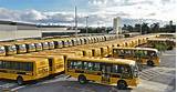 School Bus Delivery Pictures