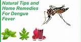 Home Remedies For Dengue And Diet Tips Photos
