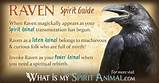 The Raven Quotes And Meanings Pictures