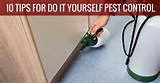 Do It Yourself Pest Removal Pictures