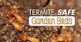 Photos of Termite Treatment Safety