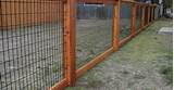 Cattle Fencing Wire Mesh Pictures
