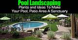 Pictures of Landscape Plants Around Pool