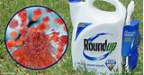Pictures of Roundup Cancer Claims