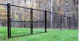 Pictures of Black Plastic Coated Wire Fencing