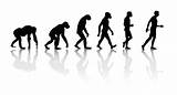 Pictures of The Theory Of Evolution