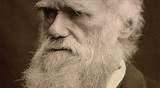 Pictures of Charles Darwin Theory Evolution