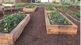 Pictures of Wheelchair Accessible Flower Beds