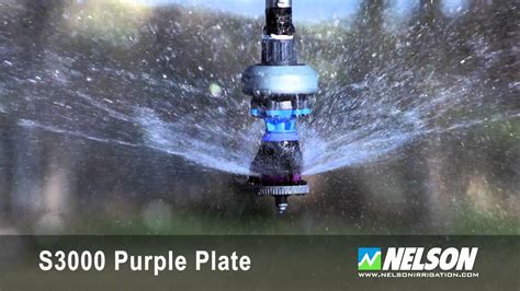 Images of Sprinkler System Commercial