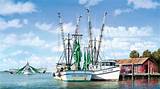 Images of Trawlers For Sale Charleston Sc