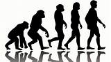 Facts About Darwin Theory Of Evolution Pictures