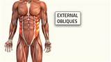 Images of Ab Workouts For Obliques