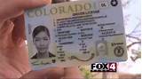 Photos of Colorado State Drivers License