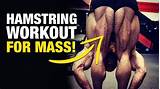 Images of Hamstring Workout Exercises