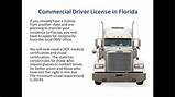 Commercial License Florida Images