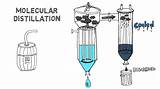 Fish Oil Molecular Distillation