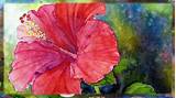 Images of Hibiscus Flower Drawing