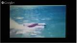 Powerboat Racing Youtube Photos