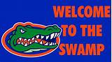 Pictures of Florida Gator Wall Stickers