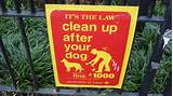Companies That Clean Up Dog Poop Images