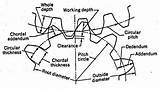 Images of Spur Gear Diameter Calculator