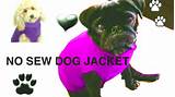 Images of Free Dog Clothes Patterns
