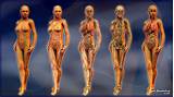 Human Anatomy Software Images