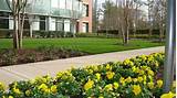 Images of Commercial Landscaping Maintenance