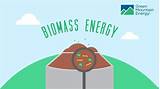 Biomass Is It Renewable Images