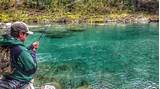 Fly Fishing In New Zealand Photos