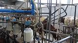 Images of Equipment For Dairy Farm