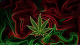 Pictures of Marijuana Screensavers Free