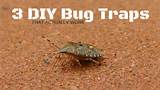 Bug Control Diy Images